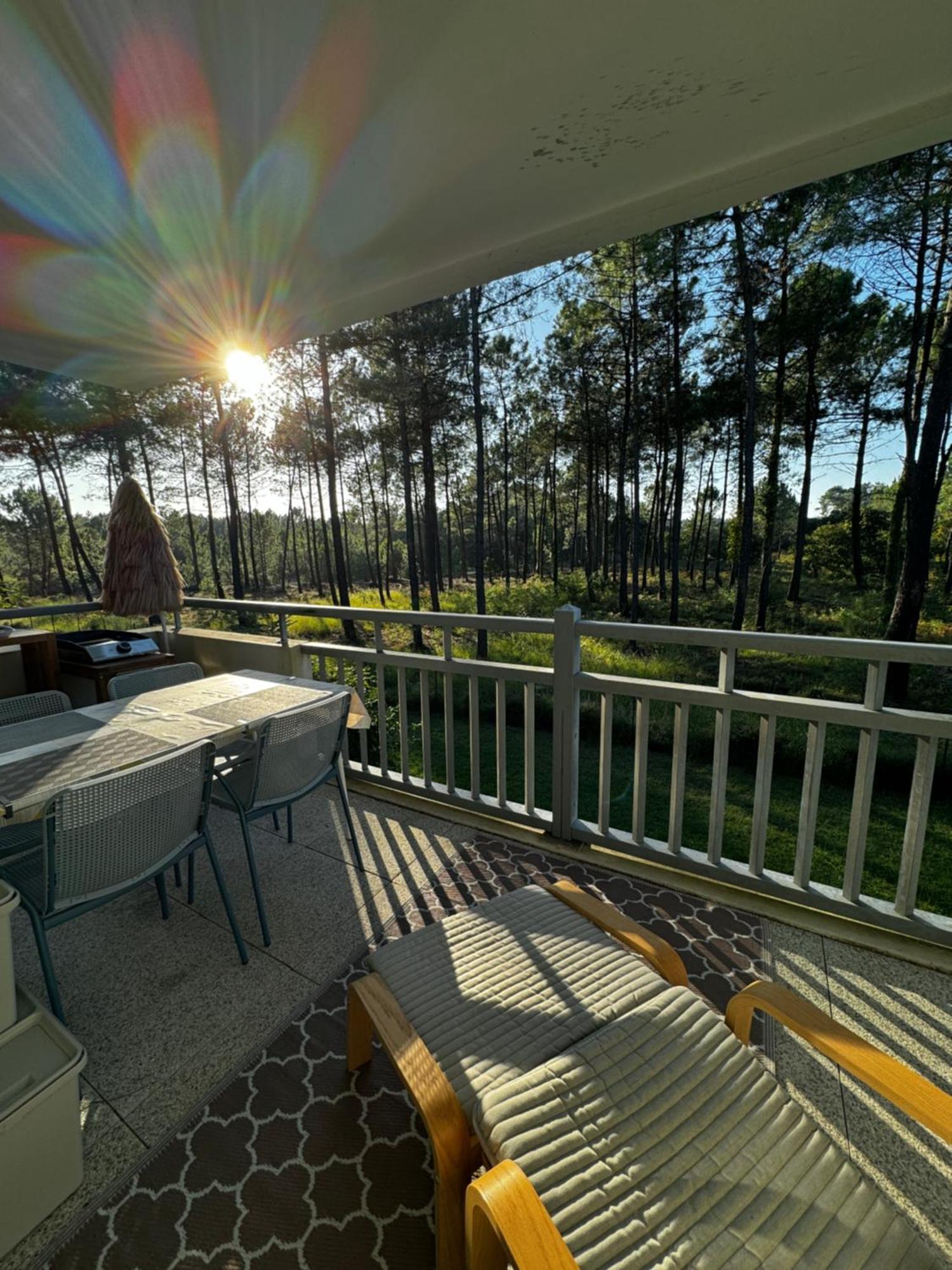 Apartment La Foret Des Pins - Free Check-in - Wifi - Parking Prive - Netflix - Draps & Serviettes Inclus