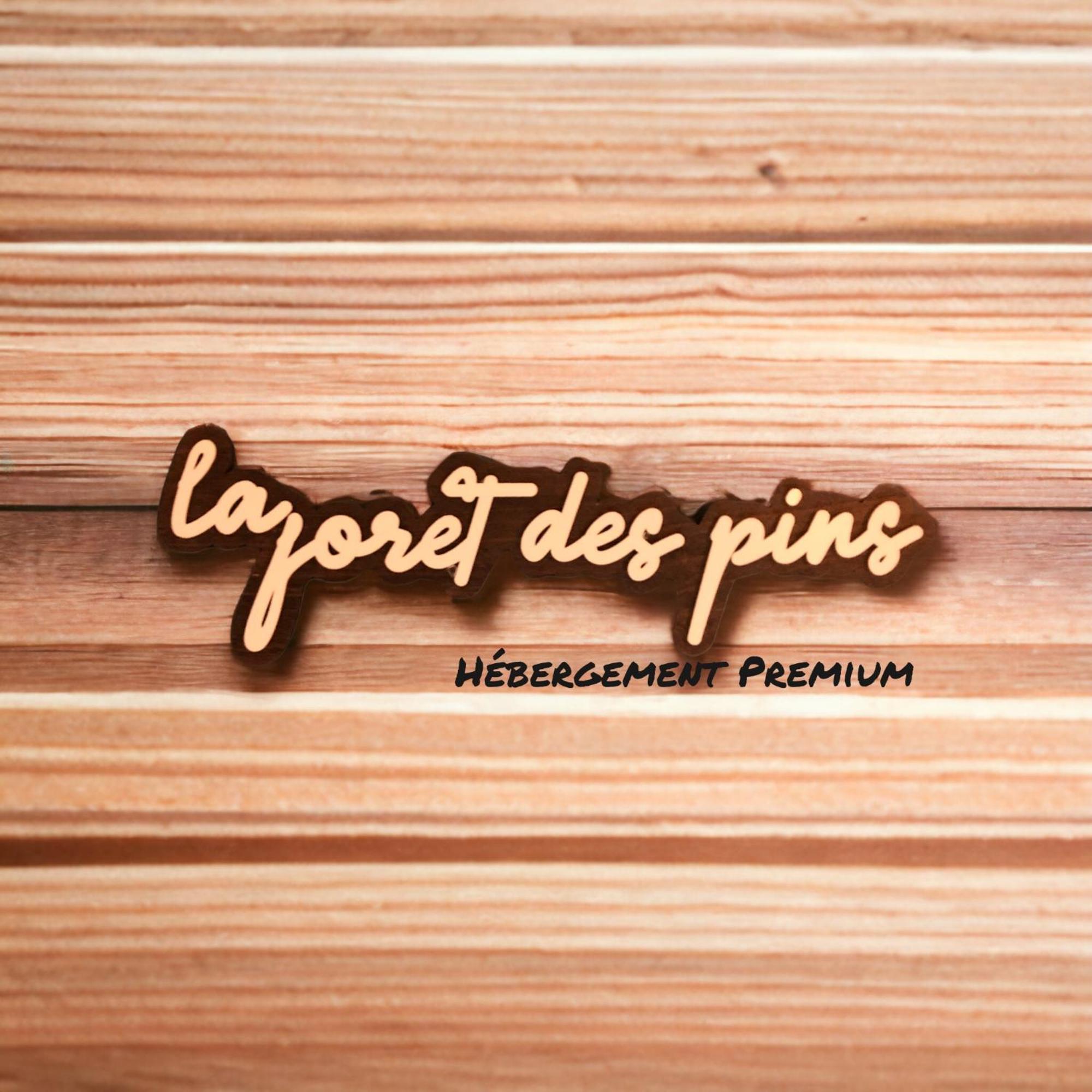 La Foret Des Pins - Free Check-in - Wifi - Parking Prive - Netflix - Draps & Serviettes Inclus Apartment *