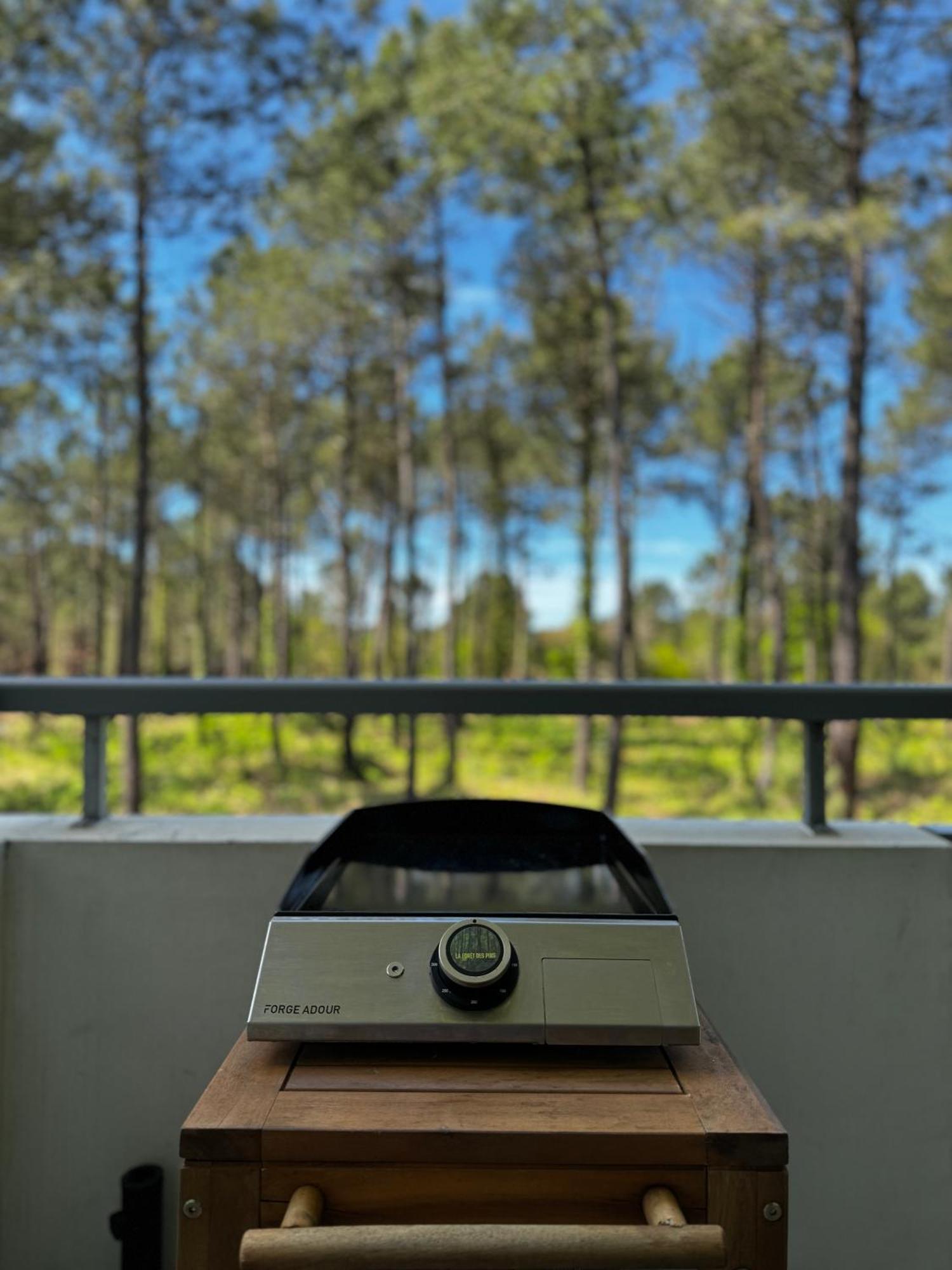 La Foret Des Pins - Free Check-in - Wifi - Parking Prive - Netflix - Draps & Serviettes Inclus Apartment