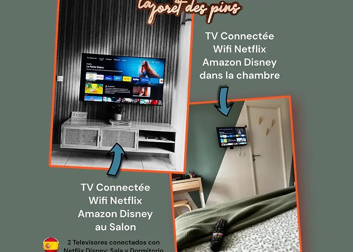 La Foret Des Pins - Free Check-In - Wifi - Parking Prive - Netflix - Draps & Serviettes Inclus